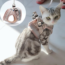 Cargar imagen en el visor de la galería, Fashion Plaid Cat Harnesses for Cats Summer Mesh Pet Harness and Leash Set Katten Kitty Mascotas Products for Gotas Accessories