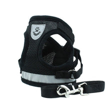 Charger l&#39;image dans la galerie, Fashion Plaid Cat Harnesses for Cats Summer Mesh Pet Harness and Leash Set Katten Kitty Mascotas Products for Gotas Accessories

