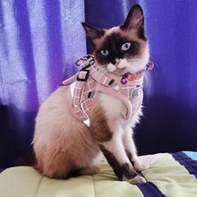 Cargar imagen en el visor de la galería, Fashion Plaid Cat Harnesses for Cats Summer Mesh Pet Harness and Leash Set Katten Kitty Mascotas Products for Gotas Accessories
